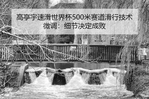 gao-ting-yu-su-hua-shi-jie-bei-mi-sai-dao-hua-xing-ji-shu-wei-diao-xi-jie-jue-ding-cheng-bai-3-989.jpg