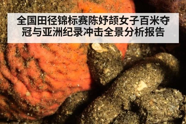 全国田径锦标赛陈妤颉女子百米夺冠与亚洲纪录冲击全景分析报告