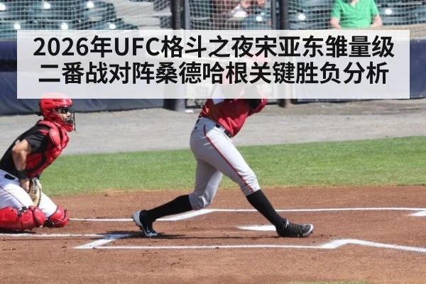 2026年UFC格斗之夜宋亚东雏量级二番战对阵桑德哈根关键胜负分析
